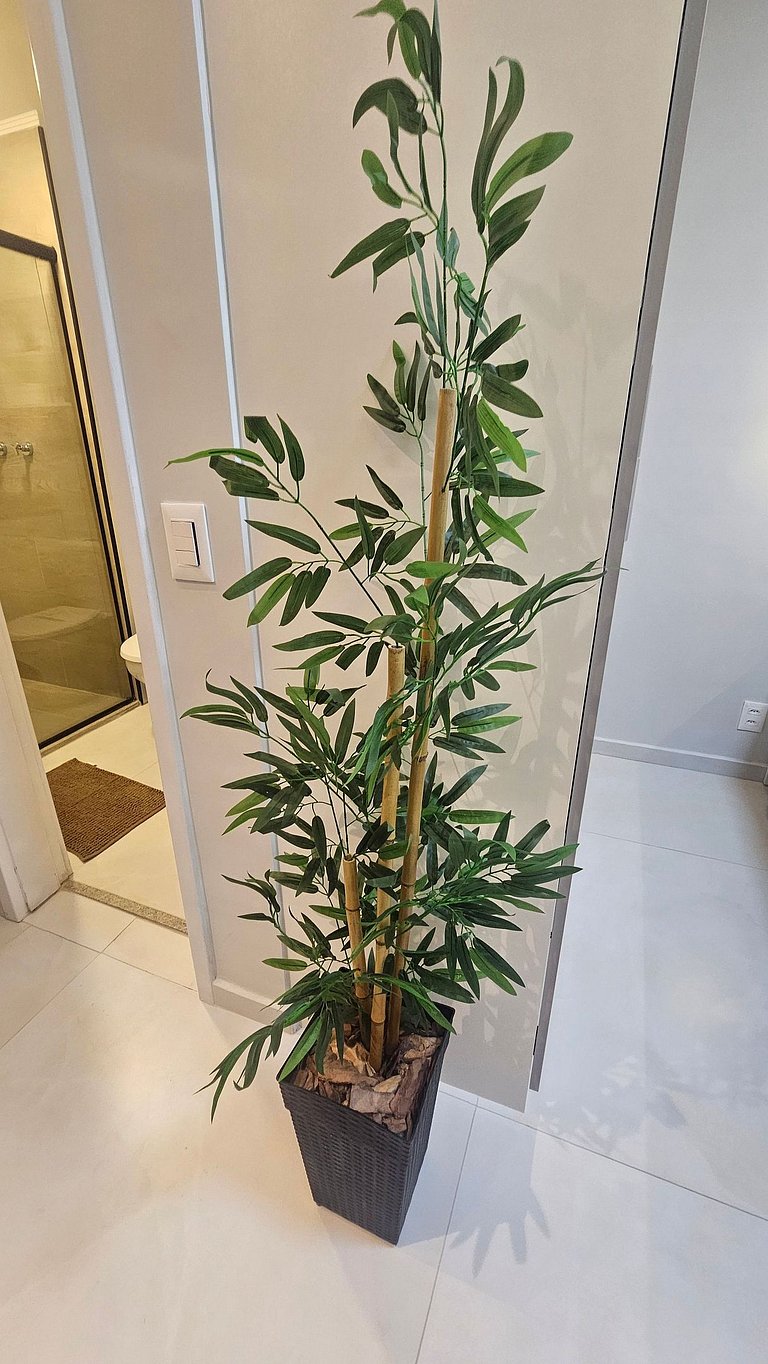 Studio Ana Rosa | HCor e Paulista